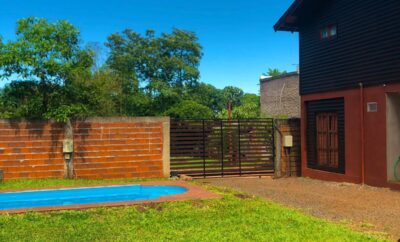 Flores de Lapacho – Puerto Iguazú