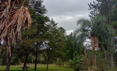 Siberia Casa de Campo – Alem
