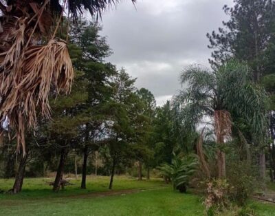 Siberia Casa de Campo – Alem